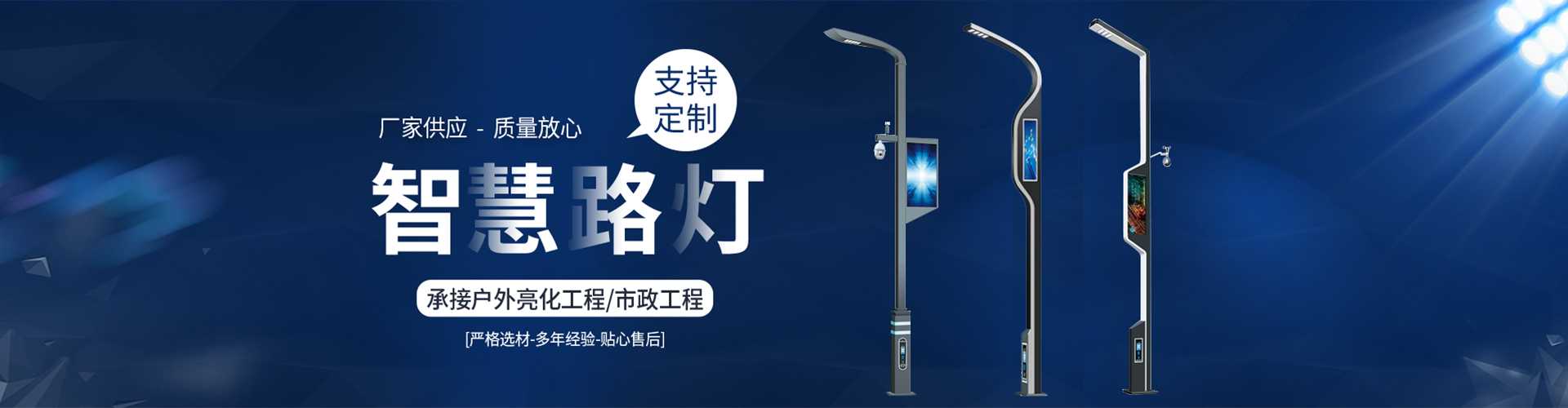 随州市太阳能路灯定制厂家