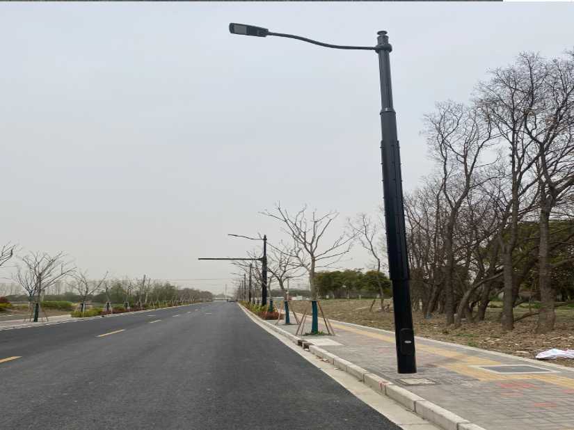 随州市上海综合杆 太阳能路灯工程